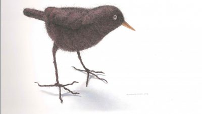 40: Larense vogelgeluiden