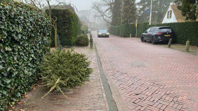 GAD heeft kerstbomen achterstand nog steeds niet onder controle