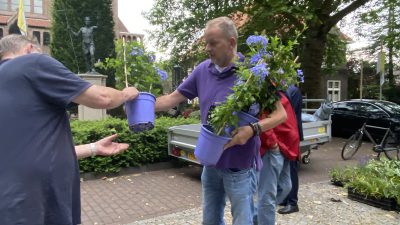 Sint Jansbloemen uit erepoorten binnen een uur verkocht