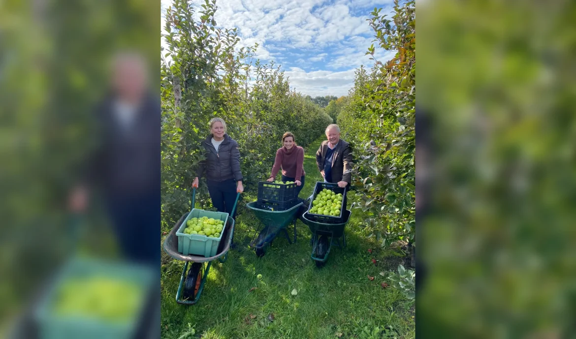 Vrijwilligers gezocht voor plukken appels voor voedselbanken