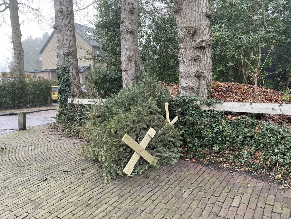 Proef met inzamelen kerstbomen door locale verenigingen in Laren, Hilversum en Loosdrecht mislukt