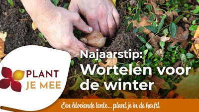 Plant in de herfst mee…