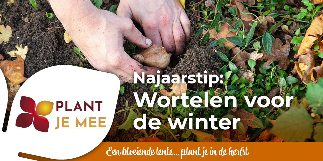 Plant in de herfst mee…