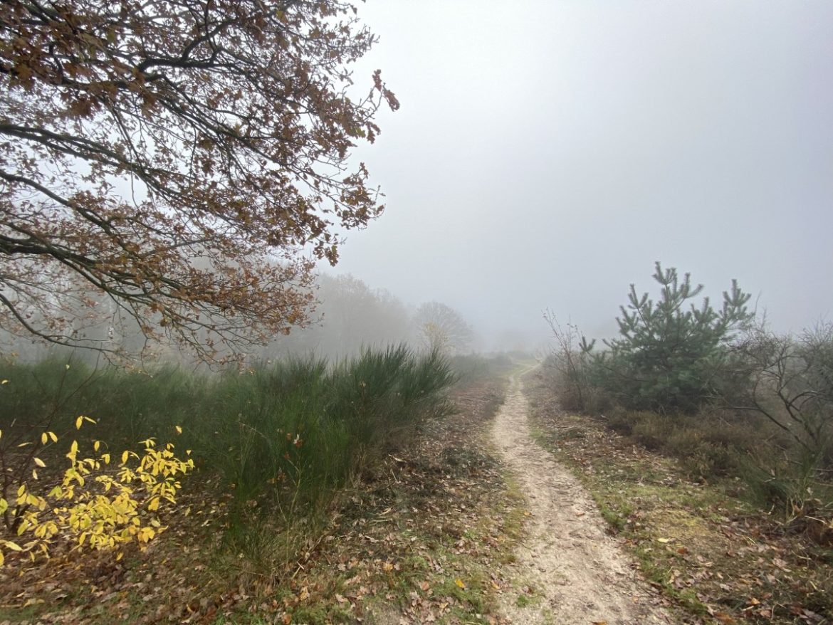 Donderdagochtend in de mist…