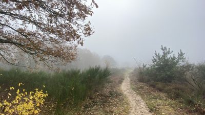 Donderdagochtend in de mist…