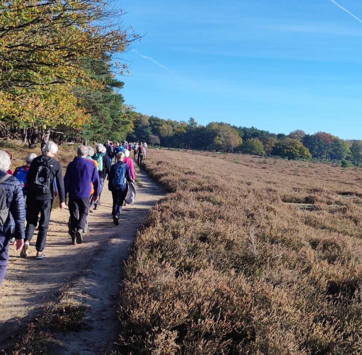 ‘Bergetappe’wandelclub