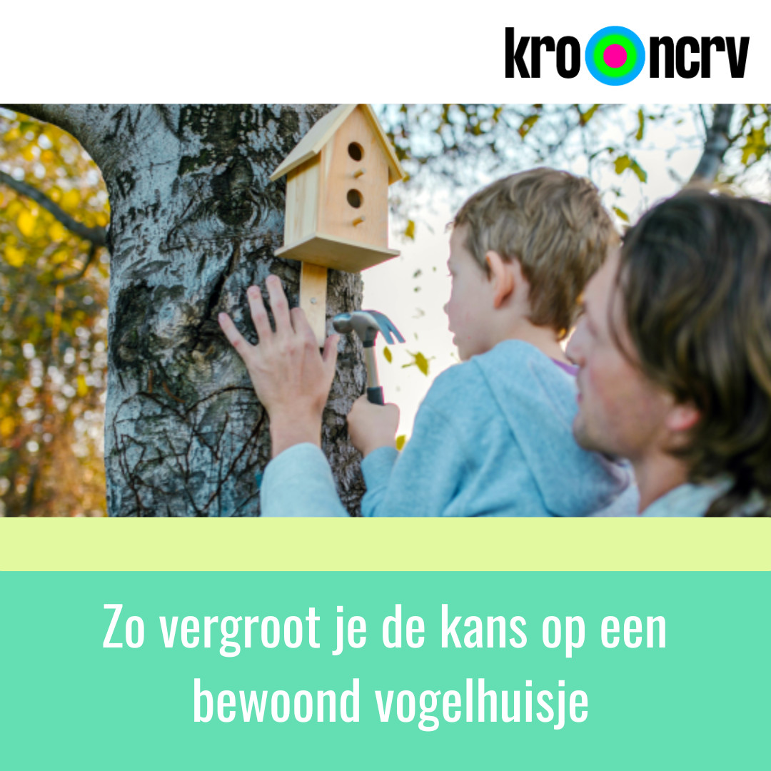 Zo maak je kans op een bewoond vogelhuisje