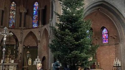 Kerstboom omhoog getakeld in basiliek