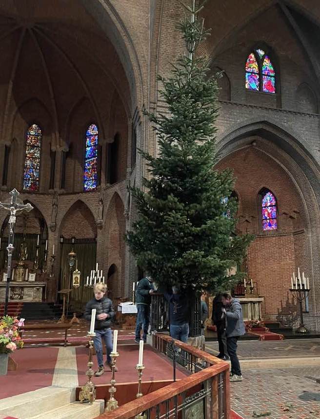 Kerstboom omhoog getakeld in basiliek