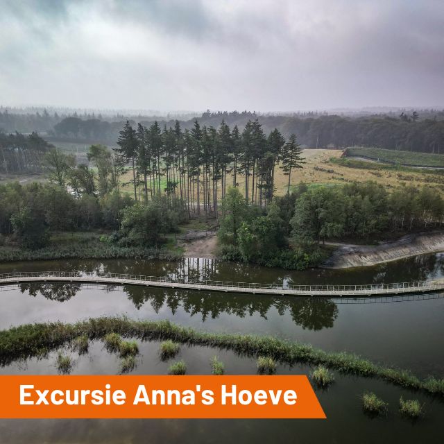 Ga je zondagochtend 7 januari mee op excursie in natuurgebied Anna’s Hoeve?