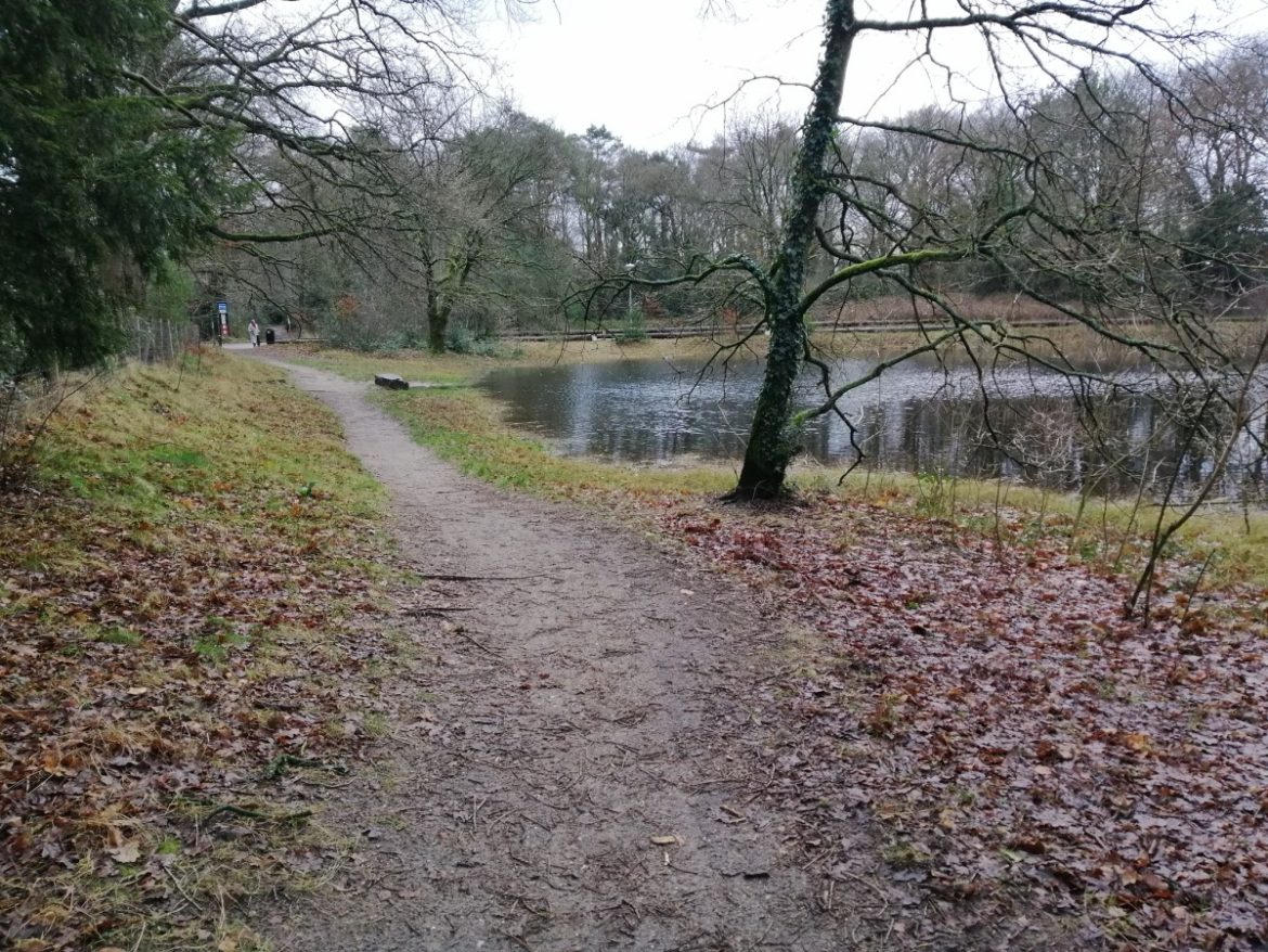 Veel water in de Mauvevijver