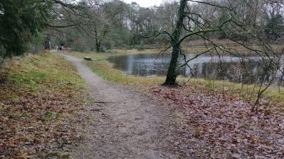 Veel water in de Mauvevijver