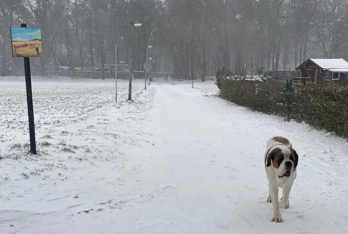 Half januari kans op koud weer!