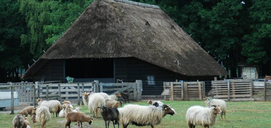 Themamiddag GNR Schaapskooi ‘Overwinteren in relatie tot Gooise Natuur’