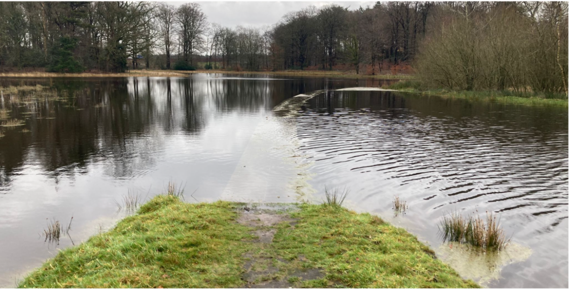 Hoog water zorgt voor indrukwekkende beelden in het Goois Natuurreservaat