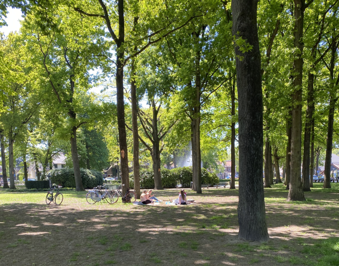 Vanavond bijeenkomst over evenementen op de Brink