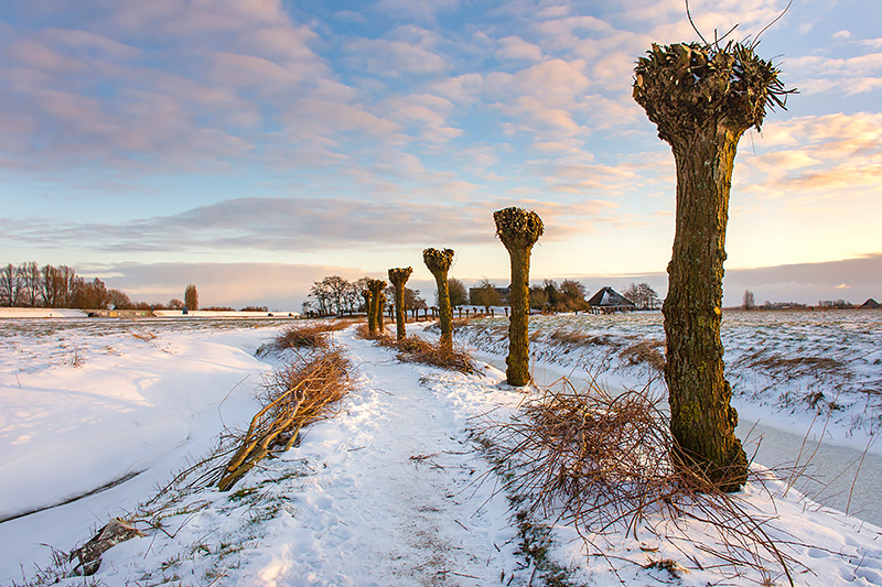 Duurzaam cadeau voor de Kerst…