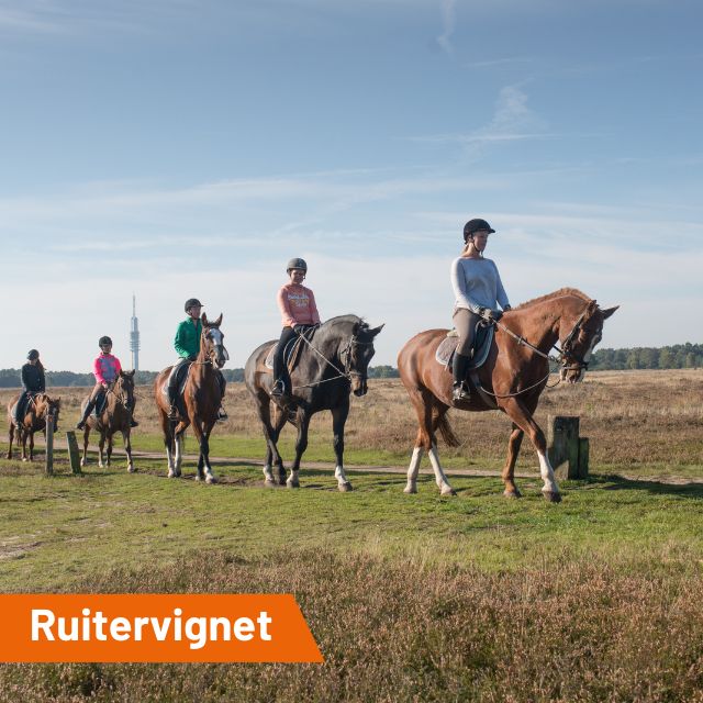 Ruitervignet…