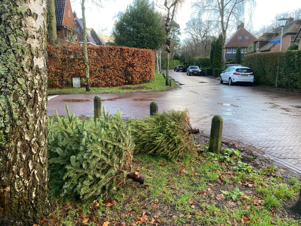 GAD rijdt dit jaar één ronde om kerstbomen op te halen en vraagt inwoners om de boom op hoek van de straat te leggen