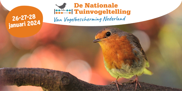 (video) De Nationale Tuinvogeltelling: tel ook mee!