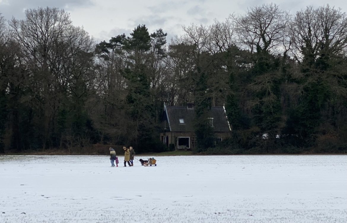 Sneeuwgrens Laren Blaricum