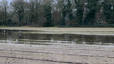 Eten van huis meegenomen?