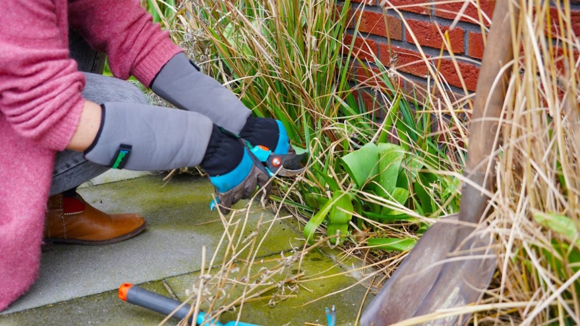 Subsidie voor groen en water in de buurt 