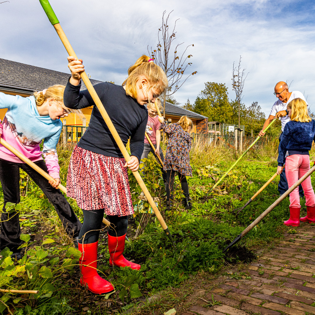 8 Larense activiteiten NL Doet