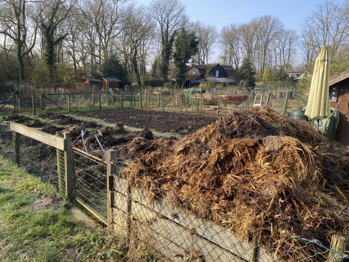 Het moestuin kan beginnen…