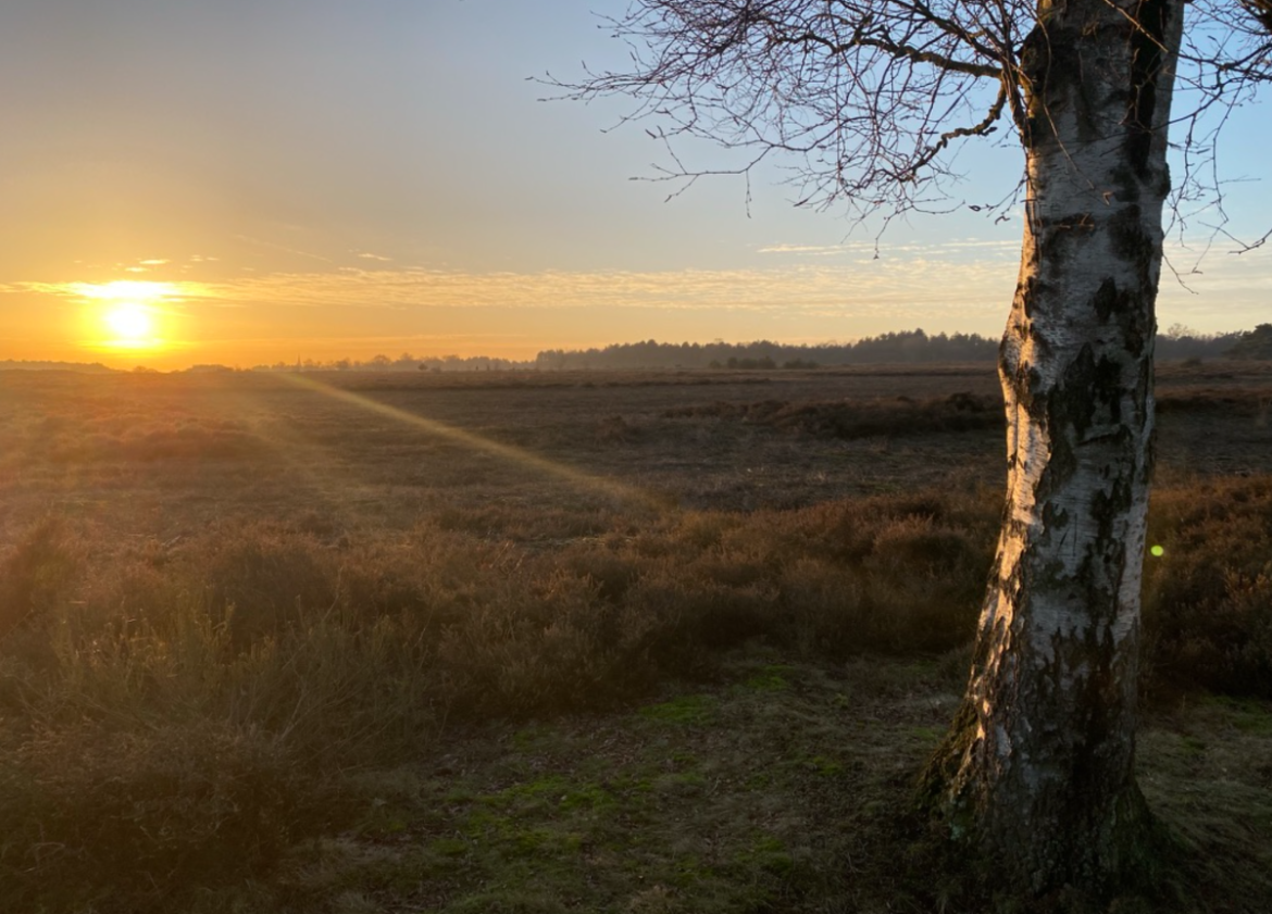 In 2050 heeft bijna zeven procent van de inwoners van Laren dementie