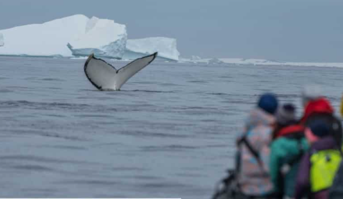 Antarctica, Spitsbergen en Groenland – Voorlichtingsbijeenkomst Inezia Tours