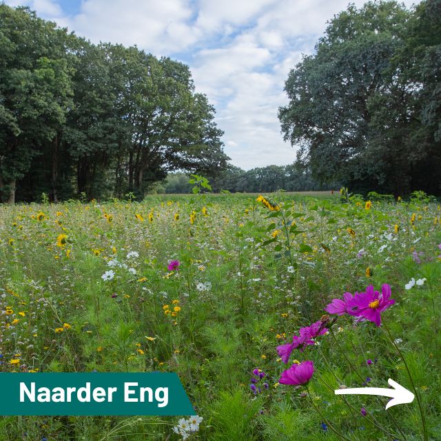 De Naarder Eng