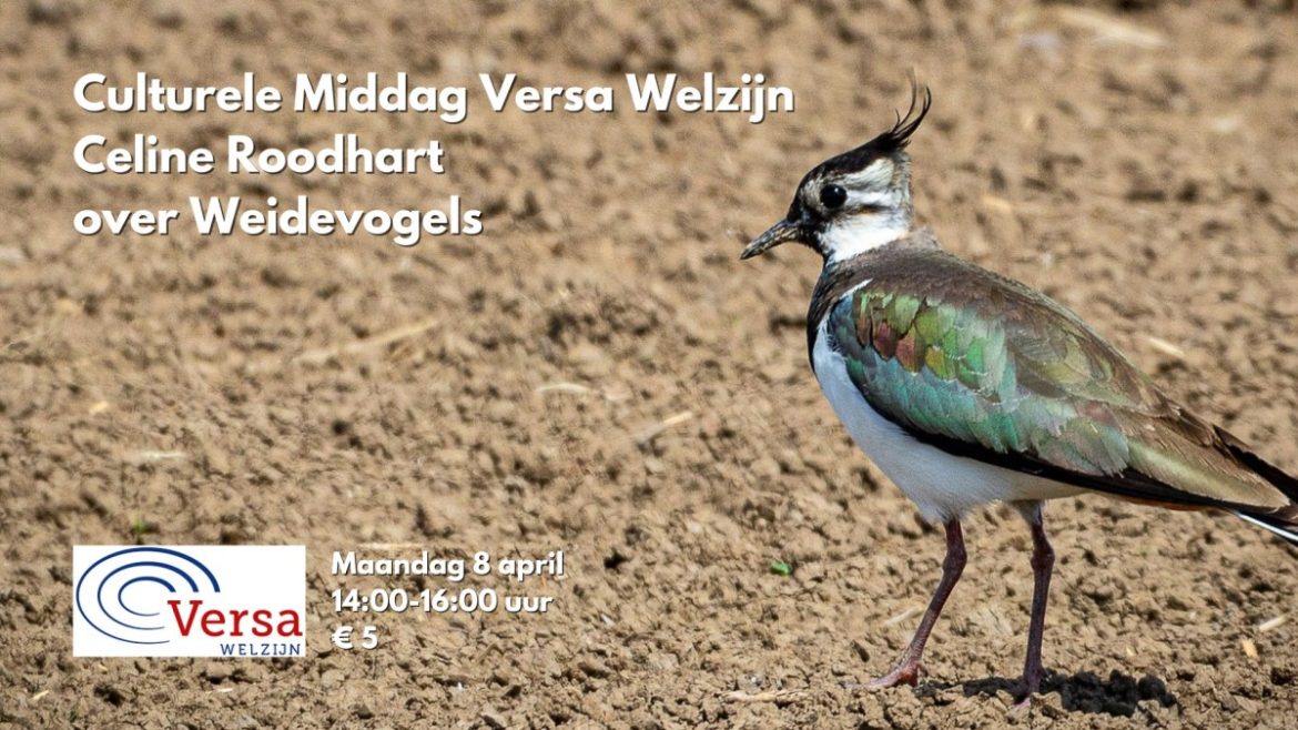 Lezing over weidevogels