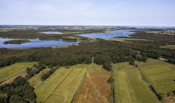 Provincie onderzoekt kansen voor natuurverbetering in de lage delen Gooi en Vechtstreek