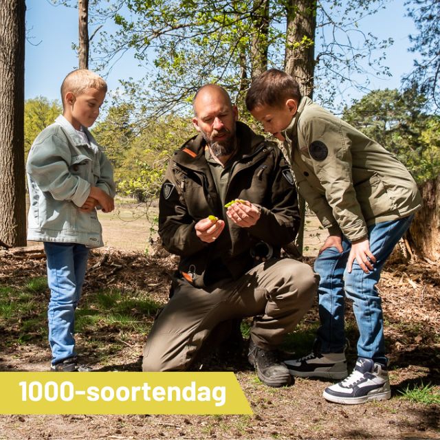 Vindt zoveel mogelijk planten en dieren…