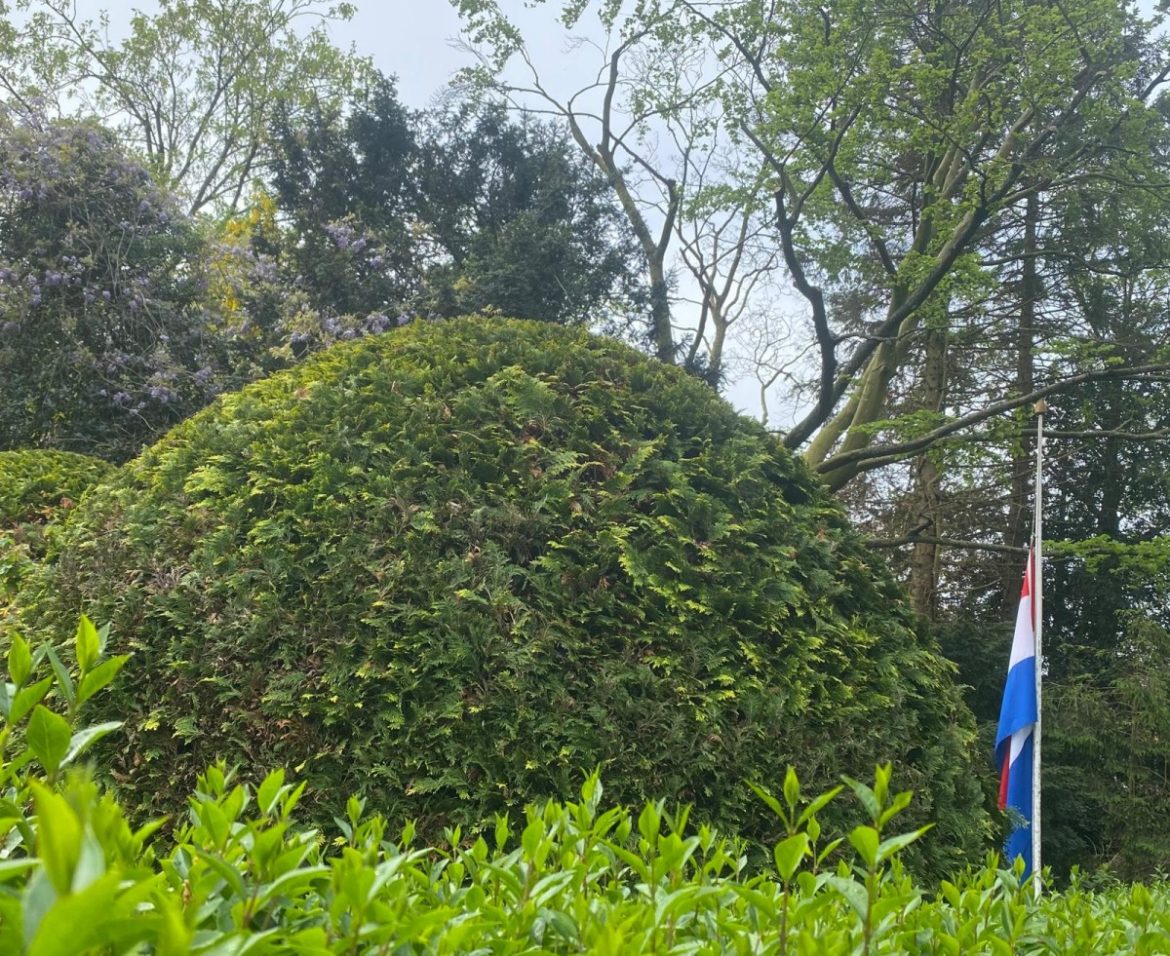 Dodenherdenking Laren: ‘Wij vragen u om de vlag zonder wimpel halfstok te hangen tot zonsondergang’