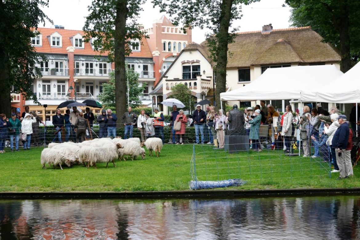 16 juni: 2672 x bekeken + Top 10 meest gelezen berichten