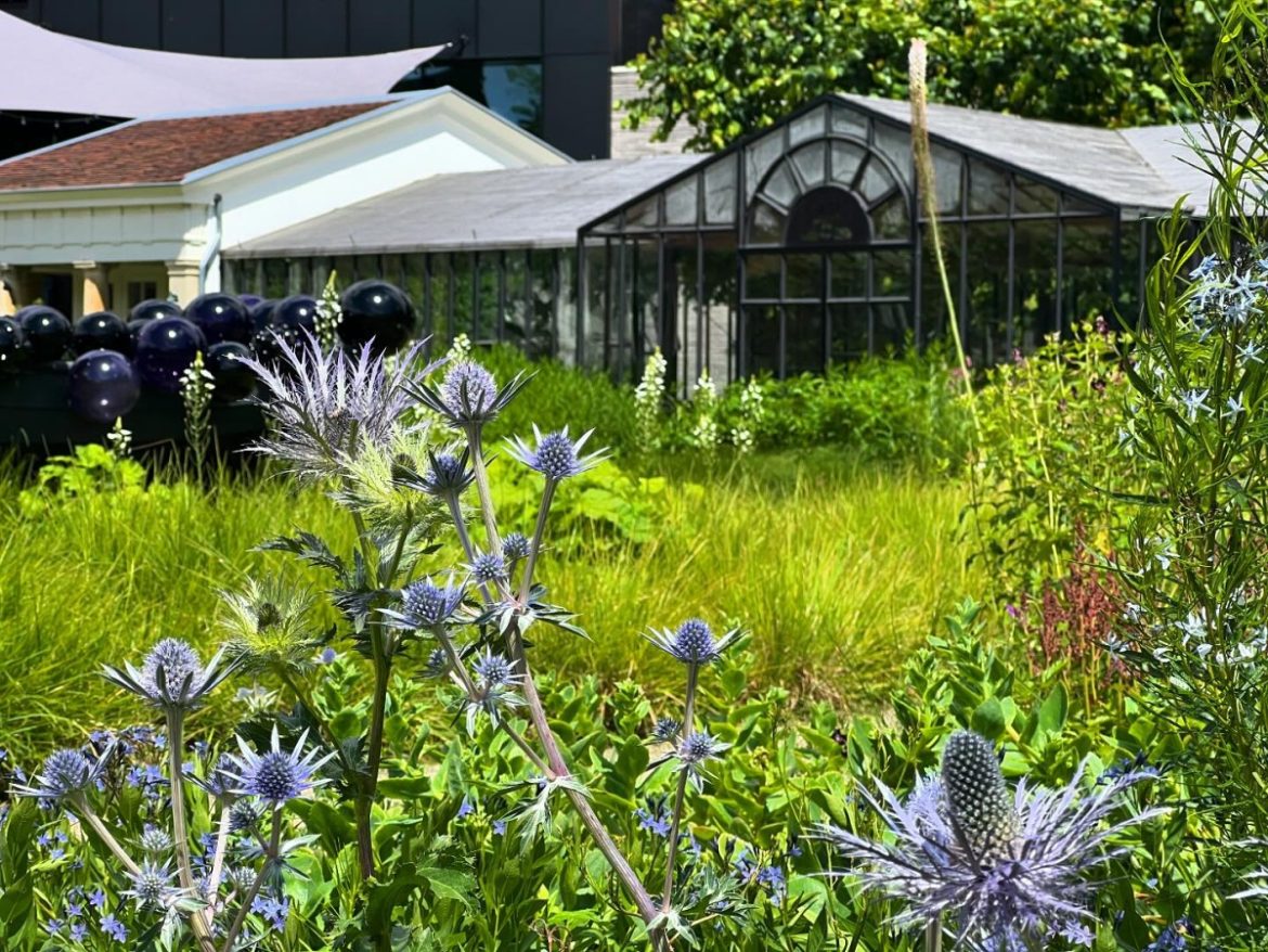 Nu te zien in Singertuin…