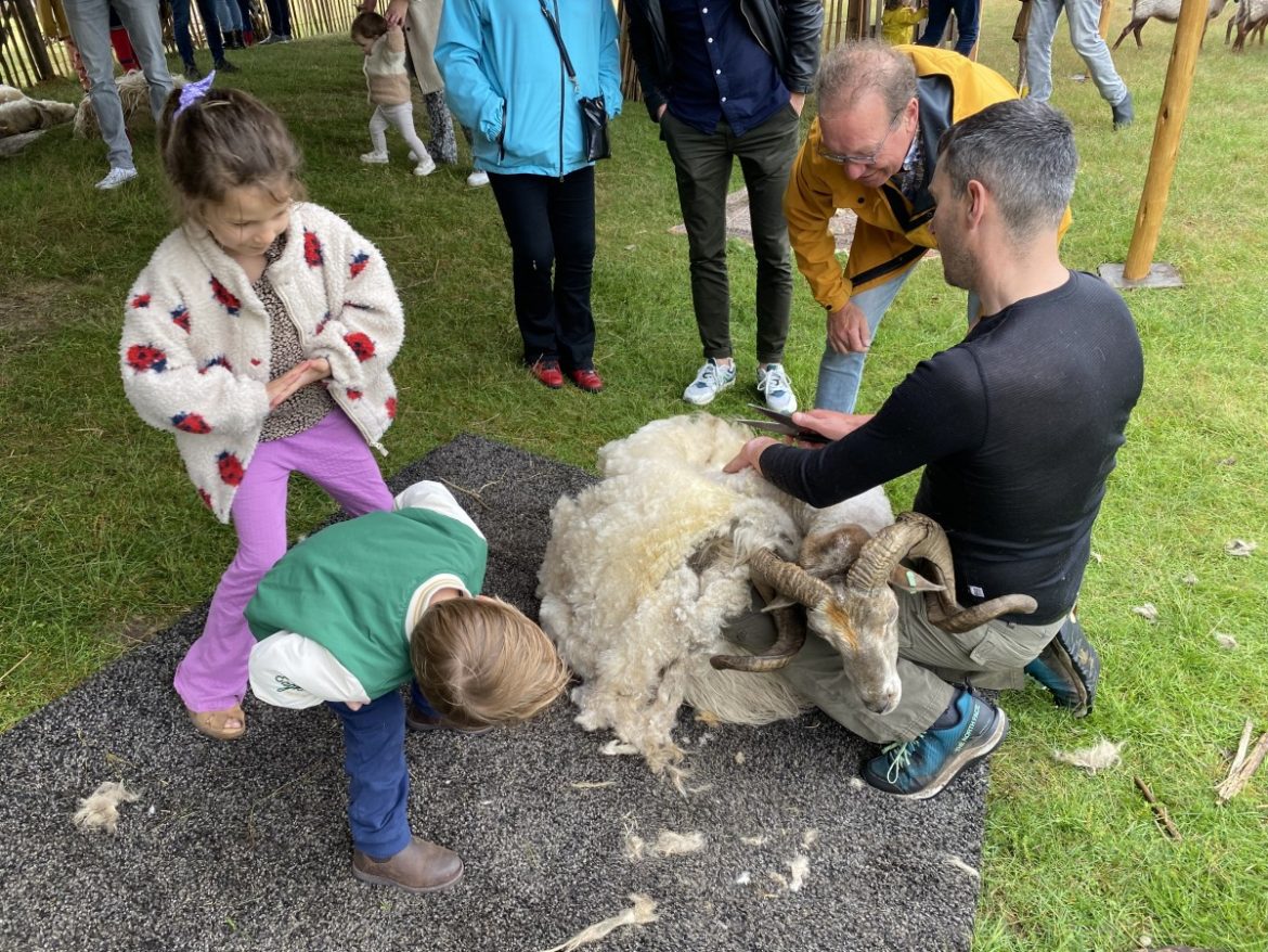 (fotorepo) Schaapscheerdersfeest…