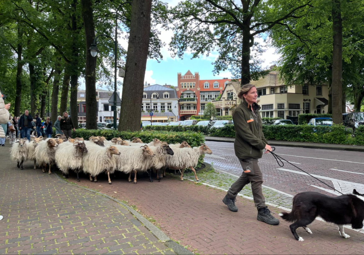 Tevreden terug naar huis…