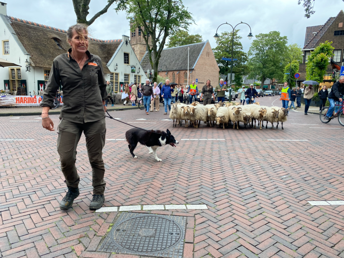 Terugblik op een unieke dag