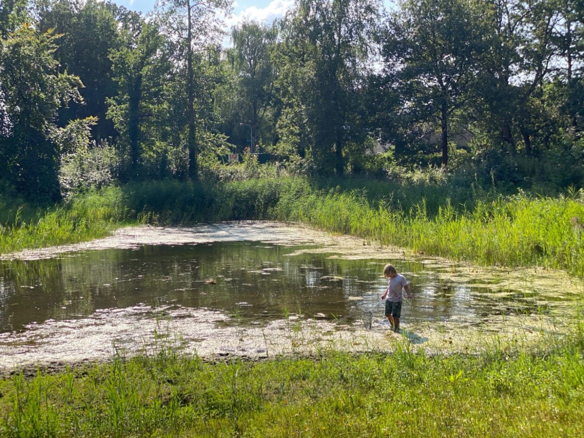 Maakt Mauvevijver bij Hut van Mie straks plaats voor nieuwbouw?