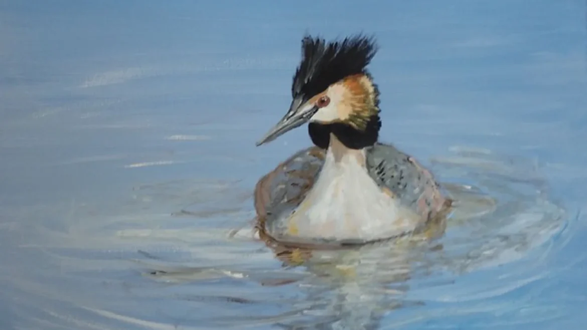 Caroline van Dijk exposeert werken van verschillende vogels