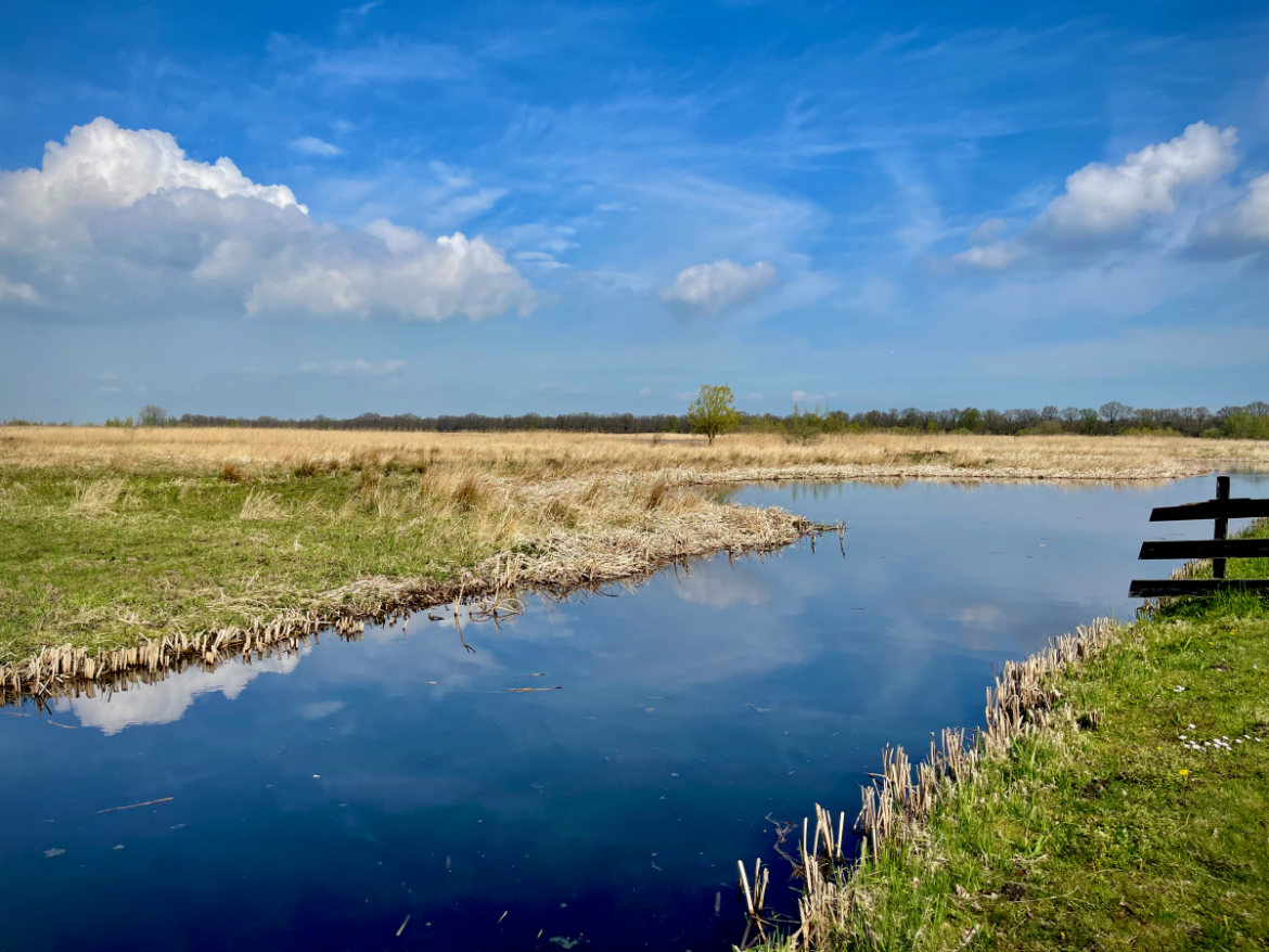 Een rondje Naardermeer…