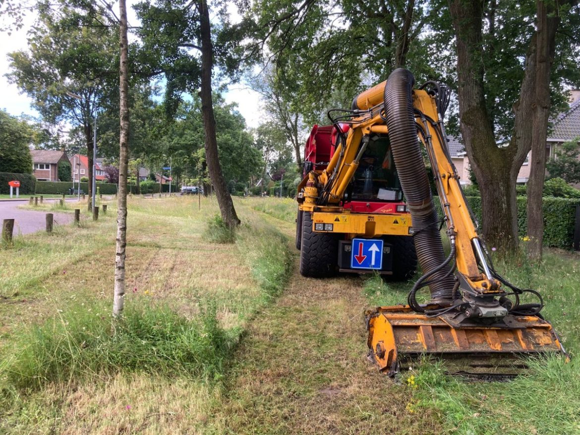 Bijna korte metten met veldbloemen…