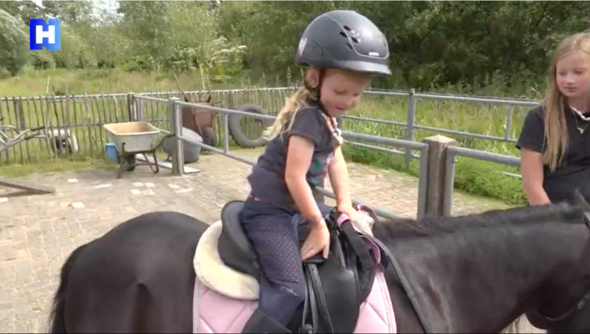 Eerste Gooise ponyspektakel succes, ondanks regenachtig weer