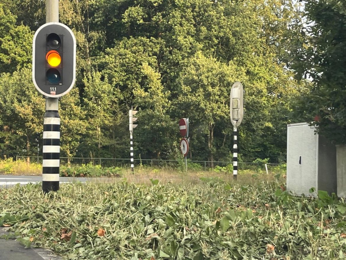 Verwilderde takken bij Laarder afslag A1 weggemaaid