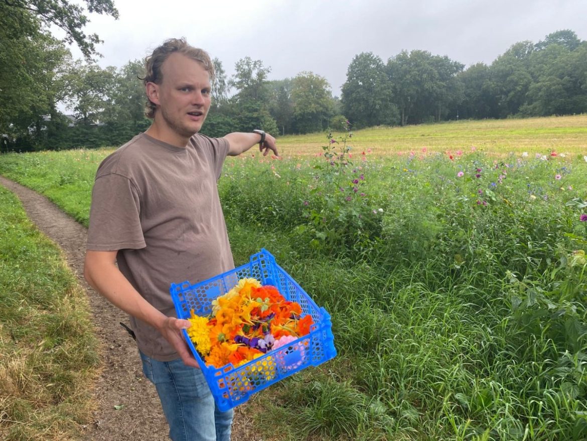 Vrolijkheid op je bord…