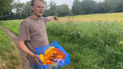 Vrolijkheid op je bord…