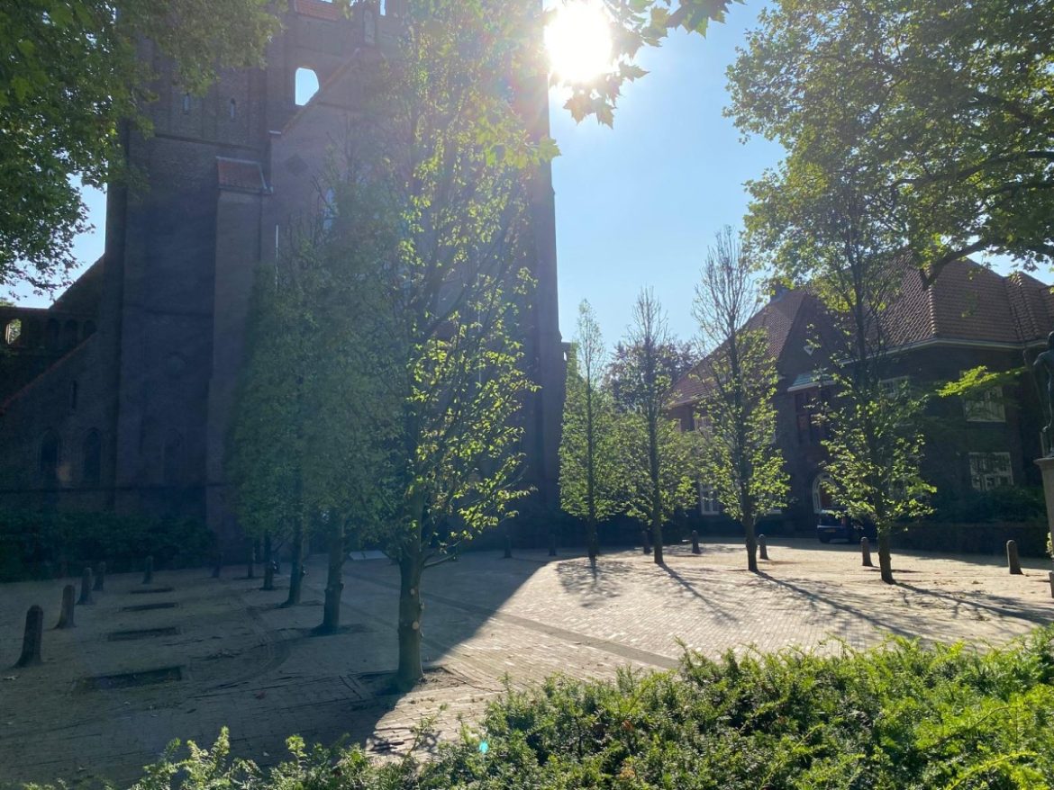 Bomen op kerkplein weer bij gewerkt